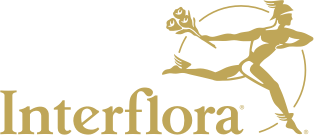 Floristerías en Sant Pere de Ribes con envío a domicilio | Interflora